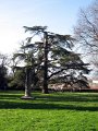 Boboli Gardens-13